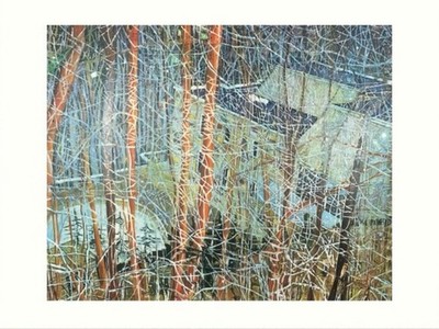 Peter Doig, Architects Home In Ravine Print 40x50cm