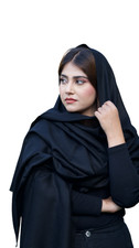 pashmina cashmere scarf wrap shawl stole