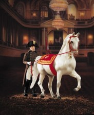 Breyer Spanish Riding School of Vienna Lipizzan Gift Set #3363 Limited Mint NIB 