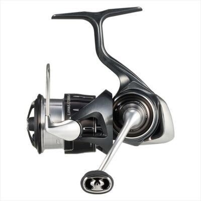 美品【 LT2500 PC ルビアス ダイワ　24 DAIWA eBay | New Japan from Shipping LT2500 PC Luvias 24 Daiwa LUVIAS】 リール