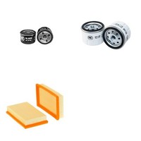Filterservice-Kit Passt FüR Lombardini LDW 602M