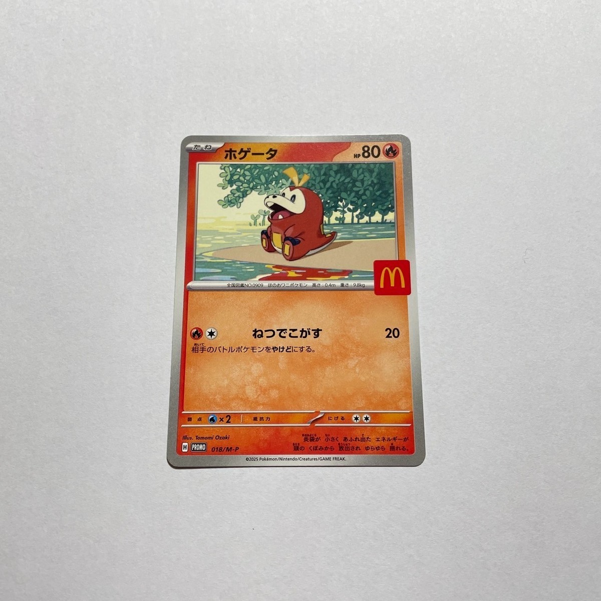 mcdonalds promo cards pokemon Mcdonald's Japan Pack 2025 Evolves from null Type Pokemon Card McDonald Promo All