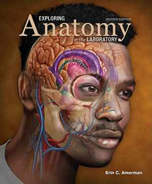 Exploring Anatomy in the - Loose Leaf, by Erin C. Amerman - Acceptable