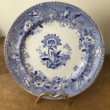 Antique Elkin & Newbon Blue And White Pearlware Botanical Beauties Plate, 24.5cm