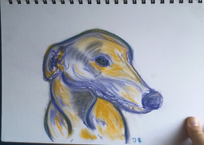 Rehkitz Windhund Windhund in Conte Pastell Original ungerahmte Zeichnung A4 signiert