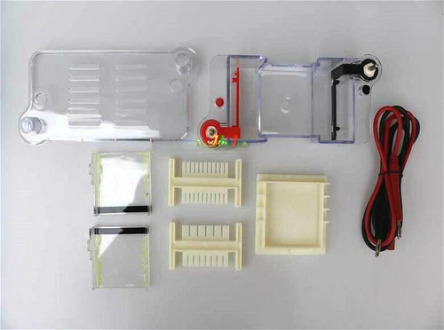 27022 Horizontal Electrophoresis Tank High School Biological Equipment 122-3122