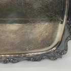 Picture 5 of 12