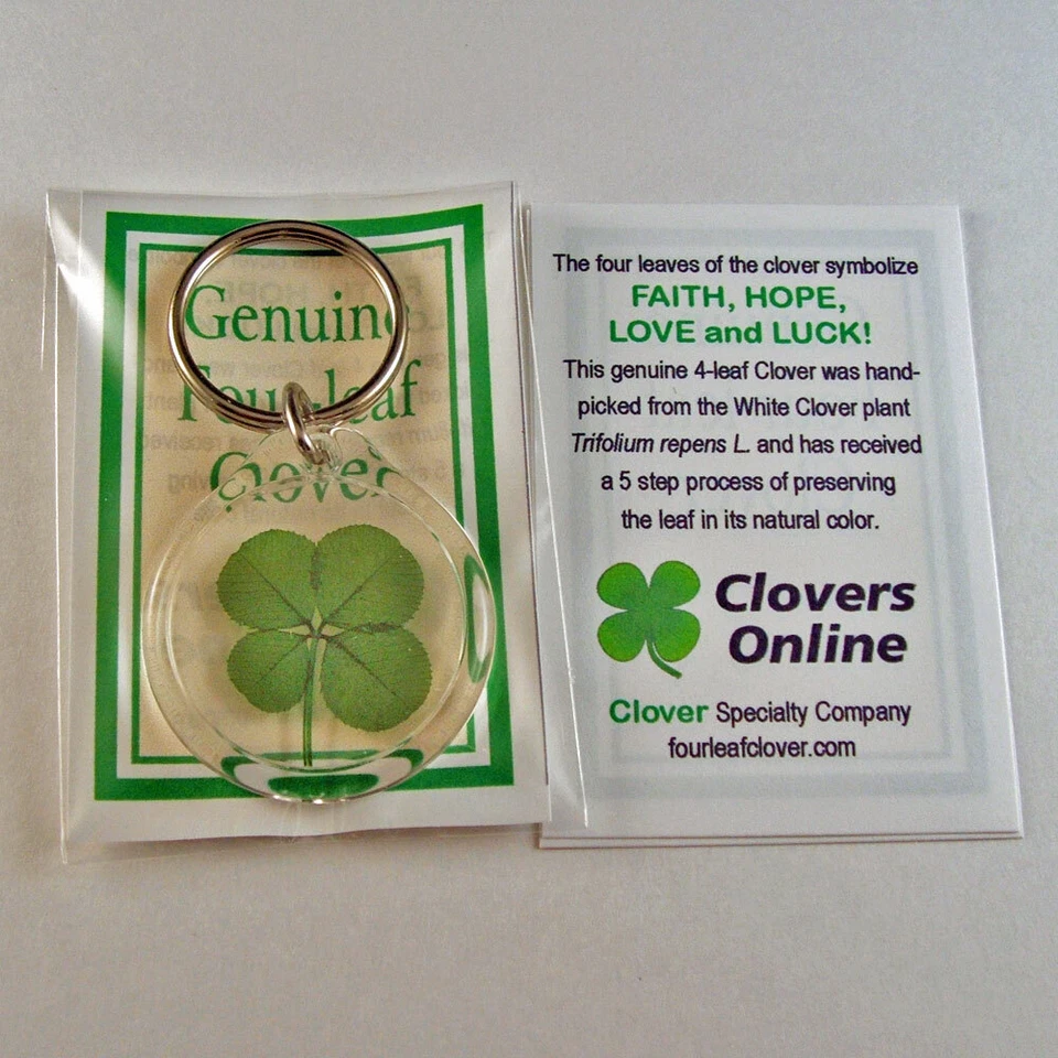 Llavero Good Luck Charm con un trébol de cuatro hojas real KT-4L Foto 4 de 4