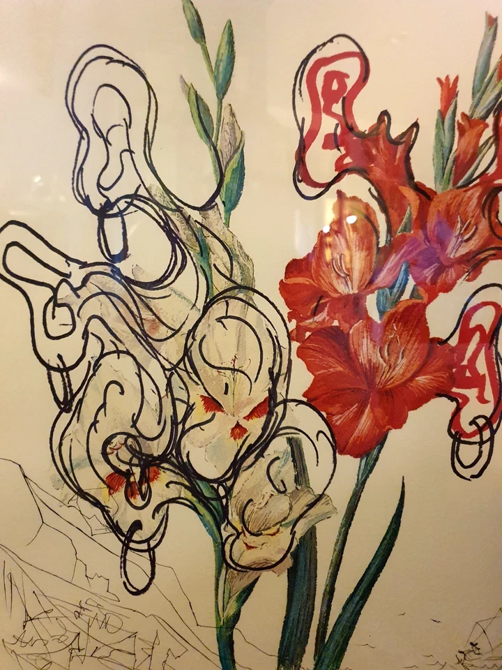 Salvador Dali ,Lithographie "Gladiolus cum aurium.." ,Künstlerabzug ,1972 - Bild 2 von 4
