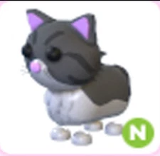 Pets Hot - N Persian Cat- The Trusted Store!!