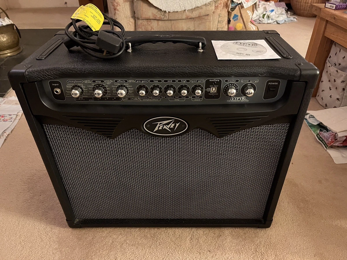 Ebay on sale peavey amps