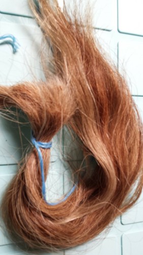 Ponyhaare - lose Haare von meinem Shetty - Bild 1 von 3