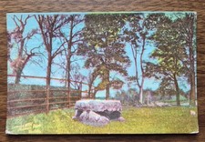 1907Druid's Altar Phoenix Park Dublin Ireland To Mt Durand, Guernsey