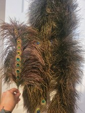 Stunning Peacock Feather Boa With Matching Wand