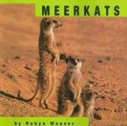 Meerkats