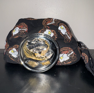 Harley Davidson Belt Buckle 2005 Oval Silver Gold Tone +  display picture 2