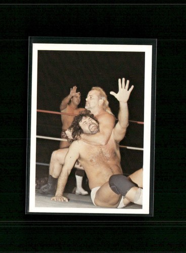 1988 Wonderama NWA Kevin Sullivan vs Jimmy Garvin #250 card