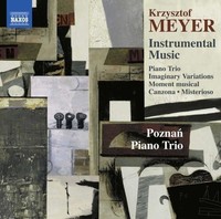 Audio Cd - Krzysztof Meyer - Musica Strumentale - Instrumental Music - Naxos -D