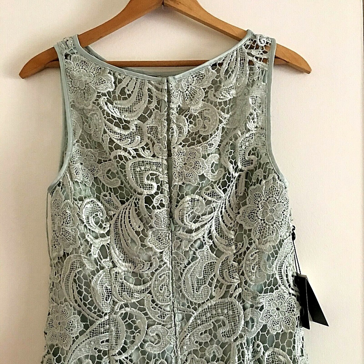 ADRIANNA PAPELL MINT FRENCH LACE DRESS | eBay