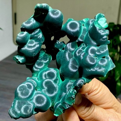 342G Natural velvet Malachite stone cat eye cluster rough mineral sample