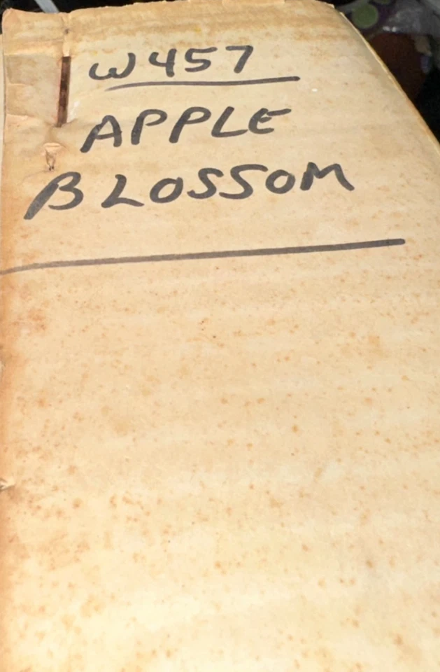 KIT CASA DE MUÑECAS LILLYPUT Apple Blossom de Walmer #457 casas de muñecas - nuevo sin abrir Foto 4 de 4