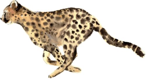 4” Running Cheetah Sticker Big Cat Tough Animal Strong Wild Watercolor  Forest | eBay