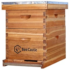Comprehensive 8 Frame Beehive Starter Kit - 100% Beeswax Coated for Longevity
