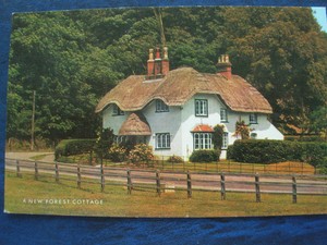 Vintage Postcard A New Forest Cottage Hampshire Ebay