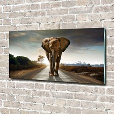 Tulup Glass Acrylic Print Wall Art Image 140x70cm - Strolling elephant