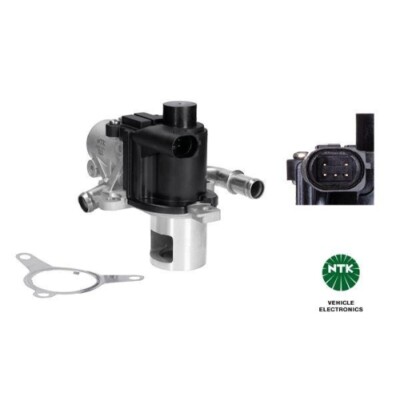 AGR-Ventil EGE5-D063 92313  NTK