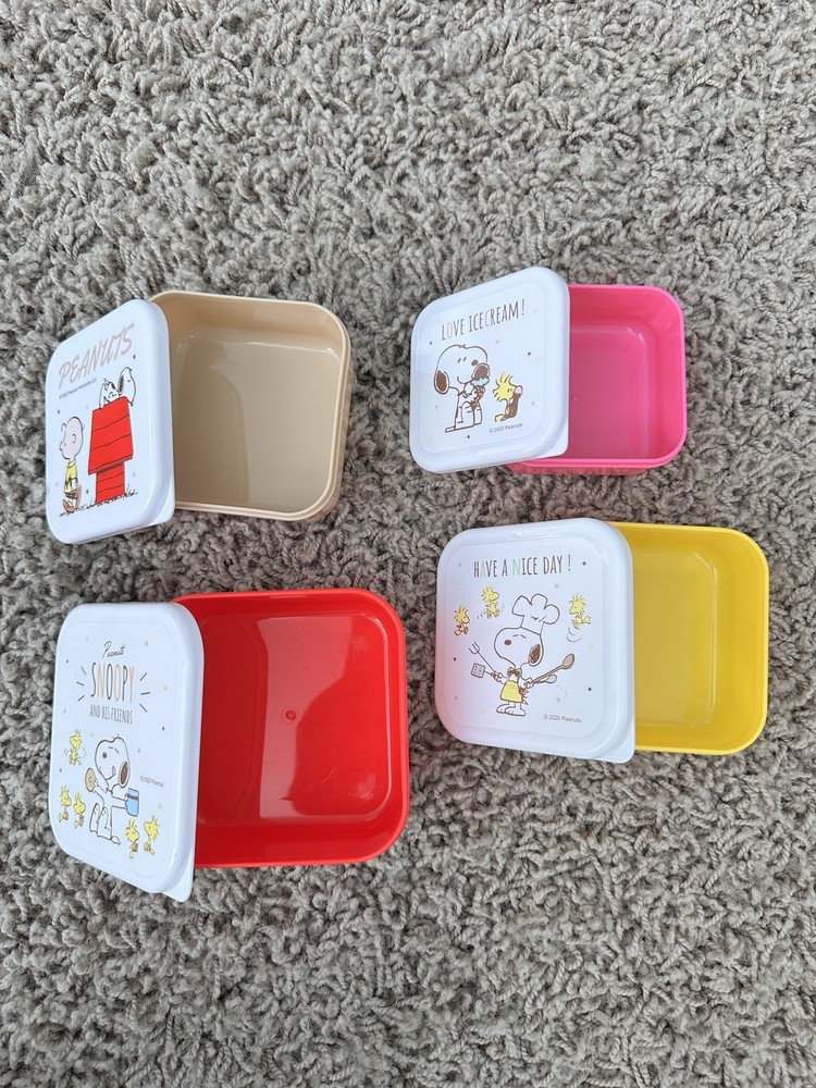 Snoopy Bento Box Plastic Vintage Retro Collectible