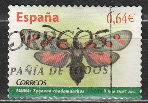 Spagna 2010 - Algarve Burnet (Zygaena rhadamanthus) - Animali (Fauna) | Farfalle