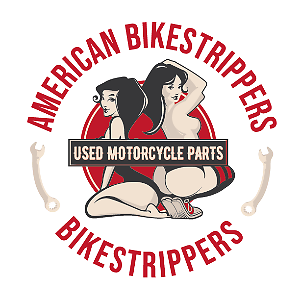 Americanbikestrippers | eBay Stores