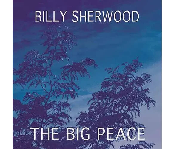 Billy Sherwood The Big Peace (CD) Album