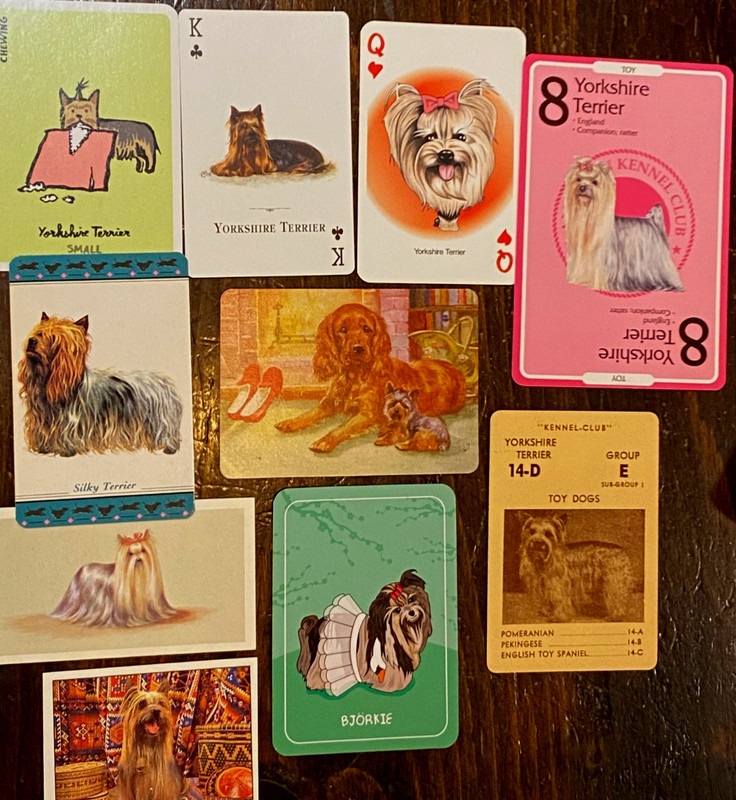 Vintage Dog Paper Collectibles - Yorkshire Terrier