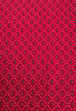 HOLLY BERRIES ON RED IN WHITE CHECK- BY THE YARD
