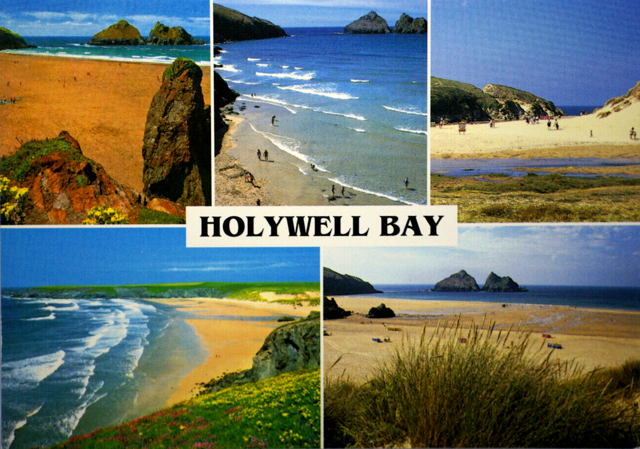Postcard Holywell Bay Cornwall Comish Cubert Newquay Port Beach Gull Chick Rocks