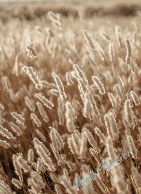 Foto A4 Kunst Skandinavisch Beige Natur Poster Kunstdruck Wand Art Deco 7705