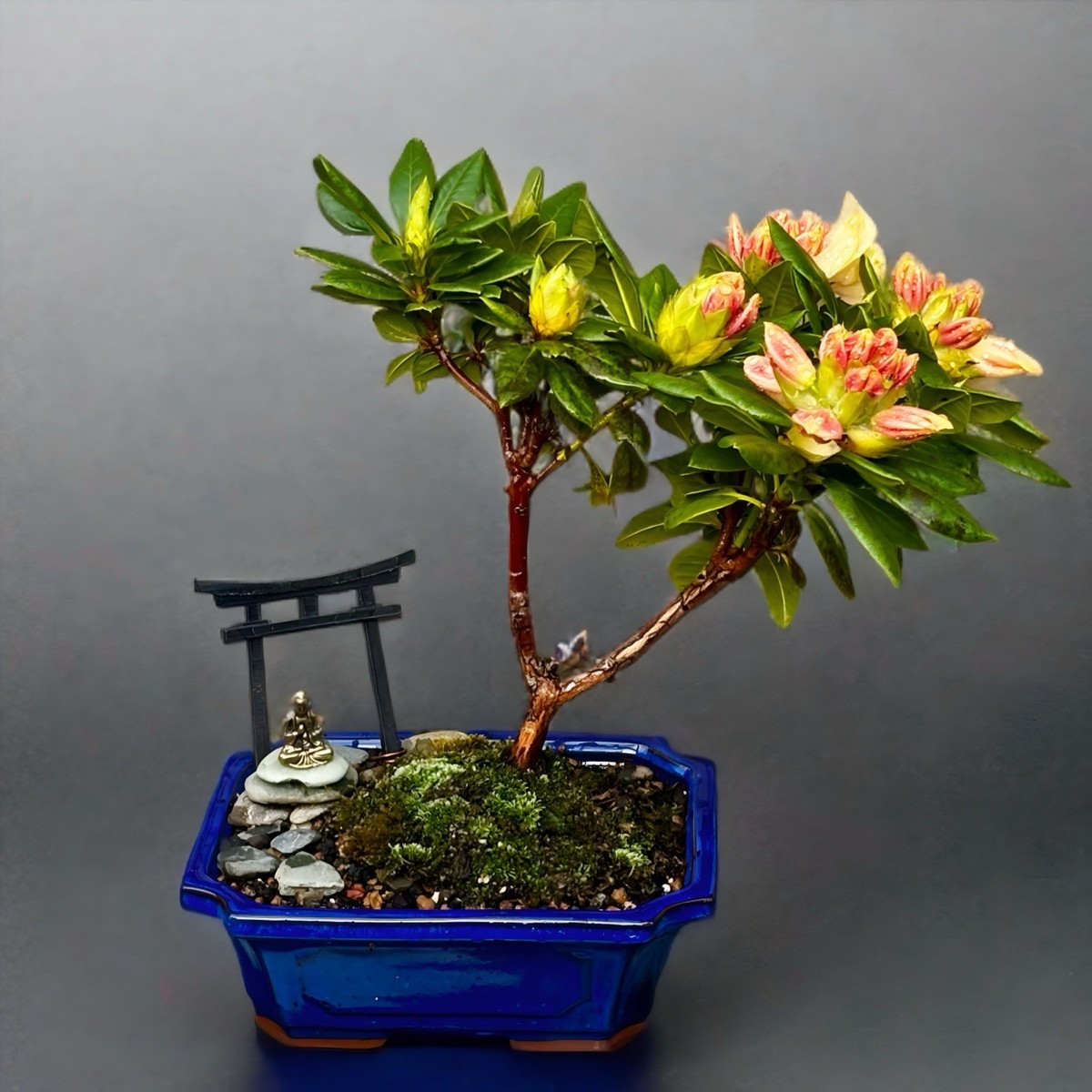 pedestal planter indoor Perfect Pedestal Planter Small