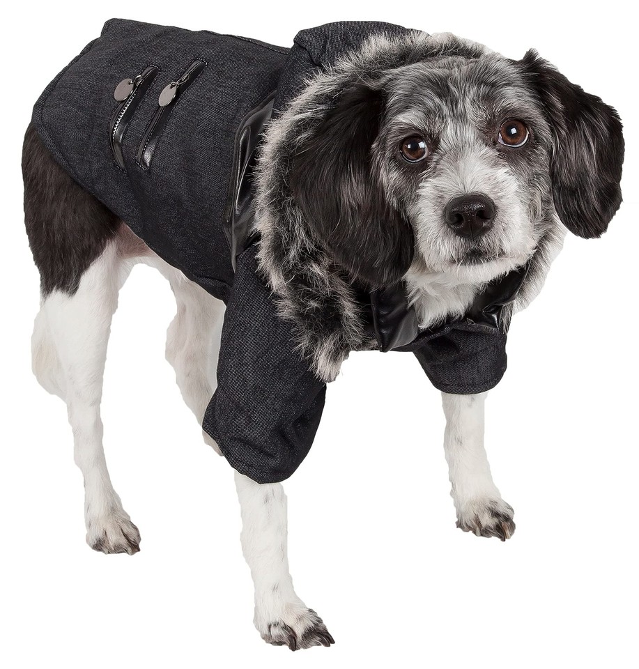 RuffChoppered Denim Fashioned Wool Dog Coat Fall and Winter Dog