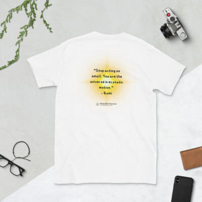Rumi Quote Unisex T-Shirt Gift Stop Acting Small Uplifting Peaceful Horizon