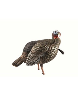 Avian-X HDR Jake Turkey Decoy - AVX8105