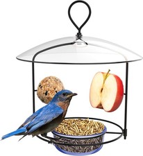 Nature's Way BBFM1 Bluebird Buffet Metal Bird Feeder with Protective Baffle,...