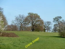 Photo 6x4 Morden Park Morden/TQ2568 The less formal part of the park. c2012