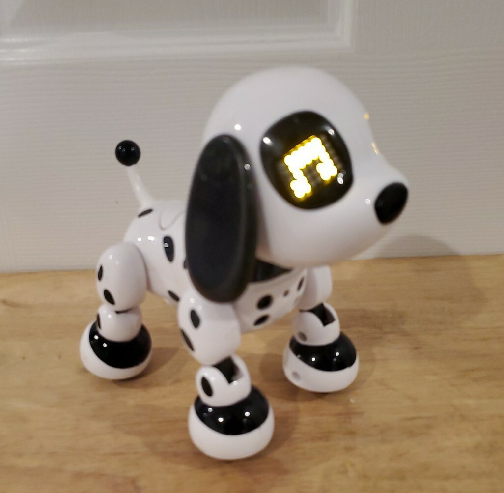 zoomer dalmatian dog