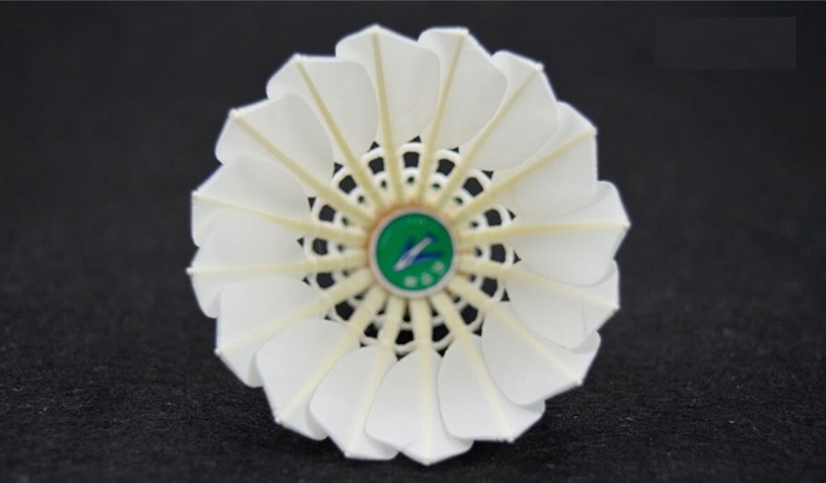 Aeroplane badminton shuttlecocks GREEN label G1130 One Tube eBay