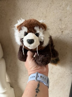 Ravensden Suma Collection Roter Panda Plüschtier Kuscheltier Stofftier