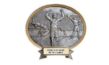 TRACK AND FIELD TROPHY AWARD PLAQUE FREE LETTERING P 54609GS 