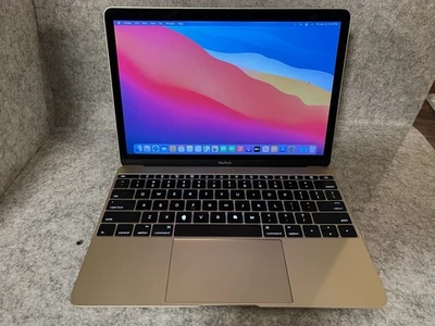 Apple MacBook 12インチ Early 2015 ジャンク 2015 Apple MacBook 12