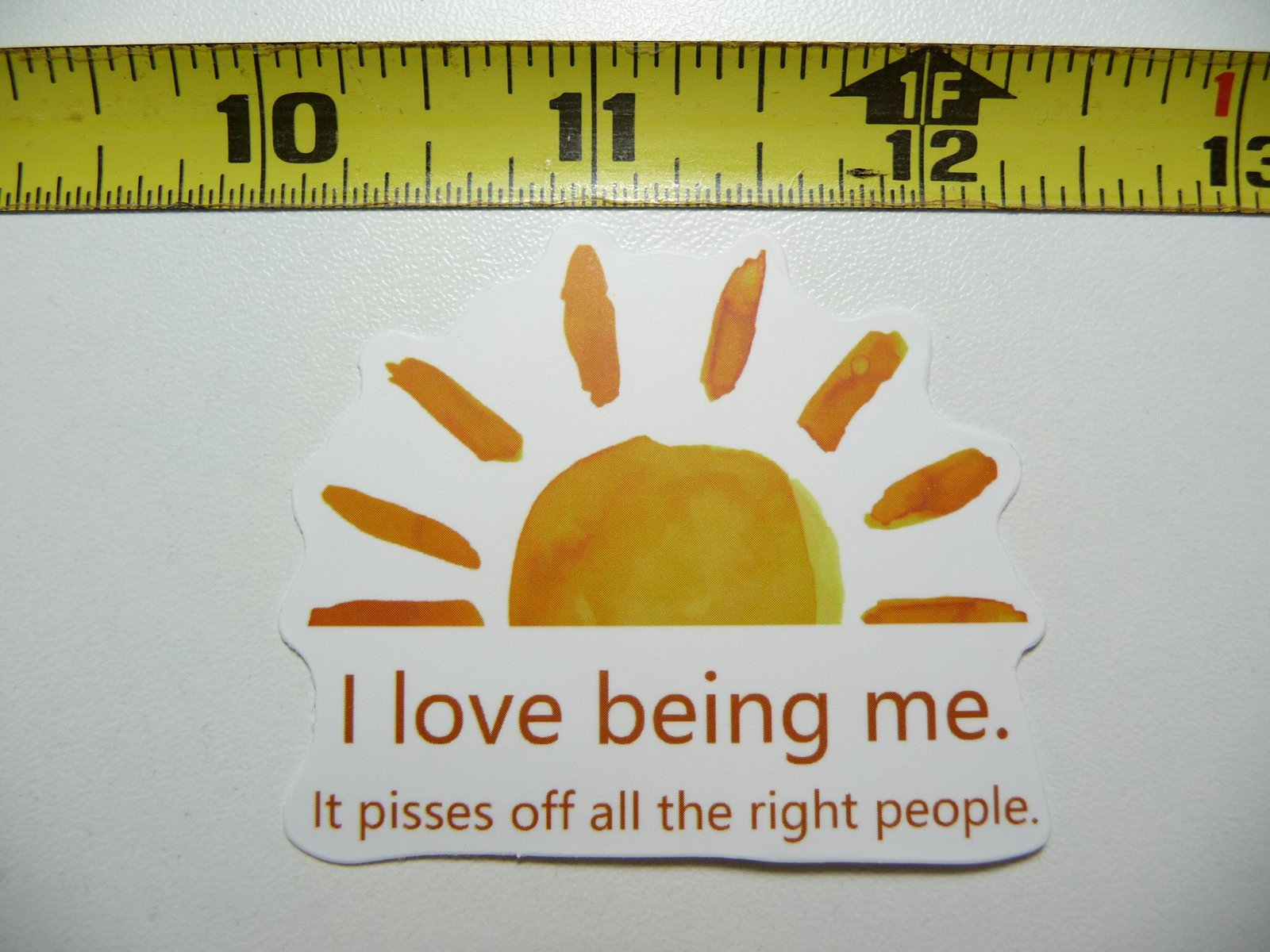 I Love Being Me Pisses Off People Sarcastic Sticker Decal Saying